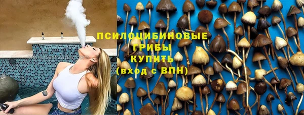 apvp Абаза